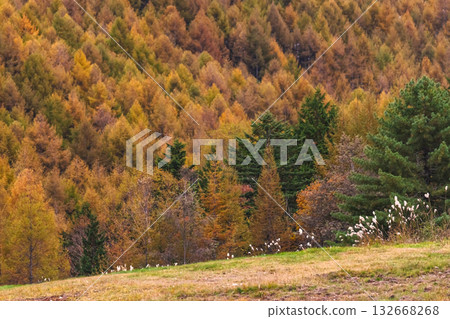 251031乘倉青年之家g085 132668268