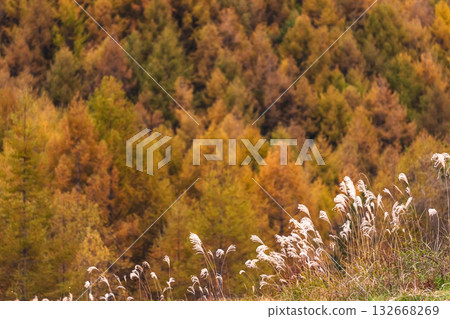 251031 Norikura Youth House g087 132668269