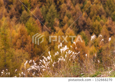 251031 Norikura Youth House g090 251031 Norikura Youth House g090 132668270