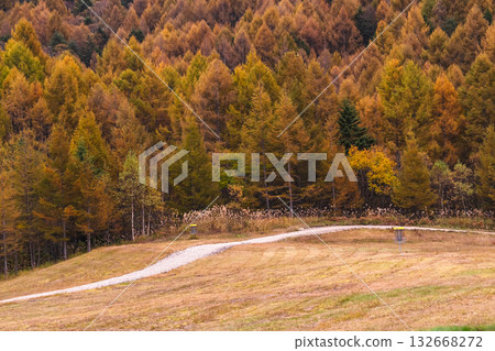 251031 Norikura Youth House g093 251031 Norikura Youth House g093 132668272