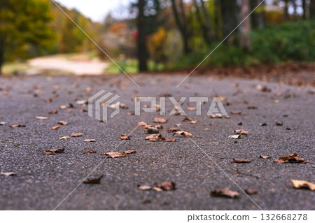 251031 Norikura Youth House m136 251031 Norikura Youth House m136 132668278