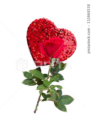 Valentines day rose 132668538