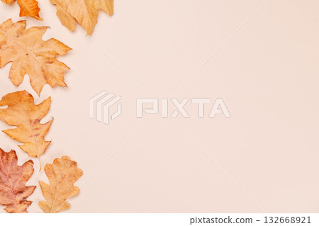 Autumn oak leaves on beige background, seasonal template Autumn oak leaves on beige background, seasonal template 132668921