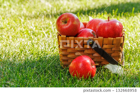 Basket of ripe red apples on a green meadow 132668958