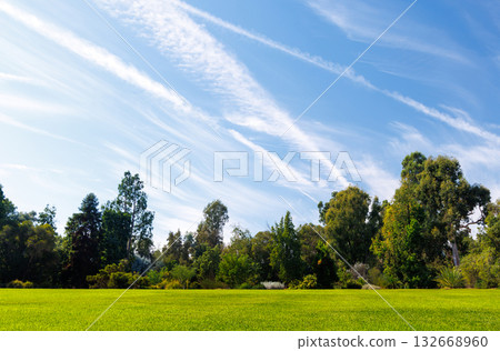 A vast green grass meadow stretching towards the horizon with a trees A vast green grass meadow stretching towards the horizon with a trees 132668960