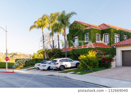 Suburban street with houses in the Los Angeles area 132669040