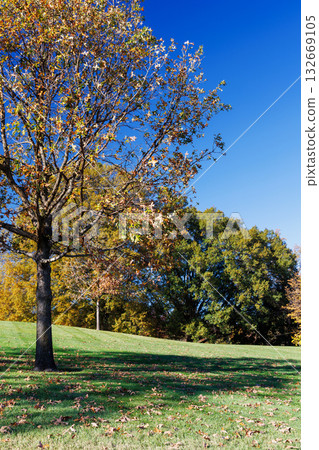 Autumn landscape in the suburbs of Washington, D.C. 132669105