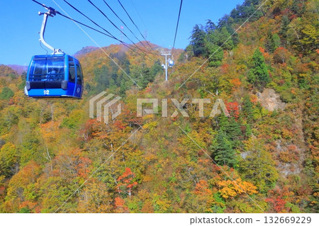 苗場龍纜車的秋天（新潟縣湯澤町） 132669229