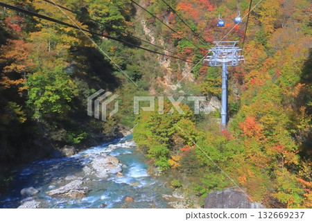 Autumn at Naeba Dragon Gondola (Yuzawa Town, Niigata Prefecture) 132669237