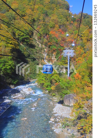 Naeba Dragon Dora in autumn (Yuzawa Town, Niigata Prefecture, vertical composition) 132669245