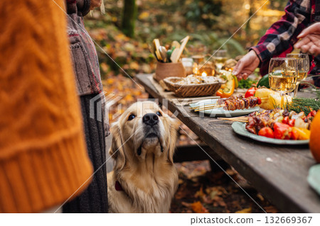 一隻狗在戶外秋日派對上看著食物 132669367