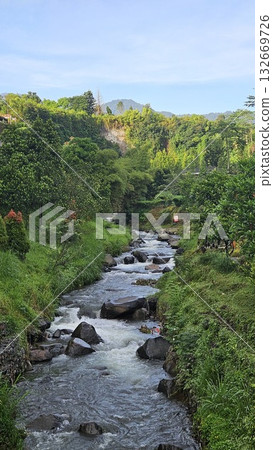 A rapid river with strong currents flows over and around large rocks, creating white water and a small cascade, surrounded by a green. A rapid river with strong currents flows over and around large rocks, creating white water and a small cascade, surrounded by a green. 132669726