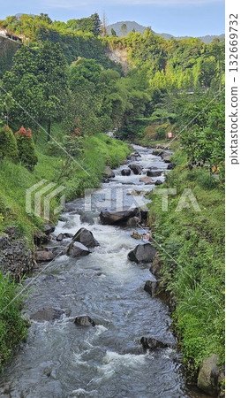 A rapid river with strong currents flows over and around large rocks, creating white water and a small cascade, surrounded by a green. 132669732