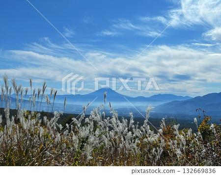 Mt. Fuji on a clear autumn day and swaying silver grass 132669836