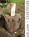 Chopping firewood 132670188