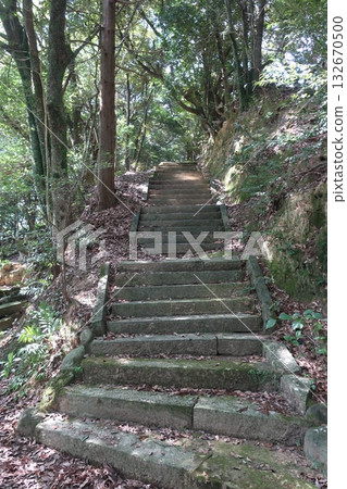 長滿苔蘚的石階 132670500
