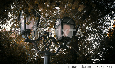 Faded Glow of an Old Street Lantern Beneath Autumn Leaves 132670654