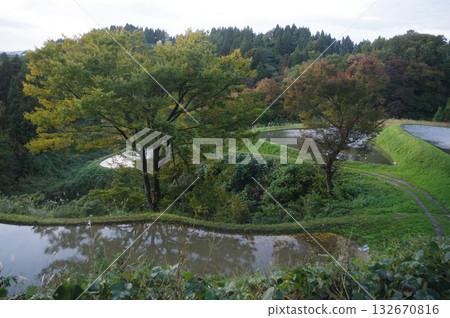 A promenade of autumn leaves A promenade of autumn leaves 132670816