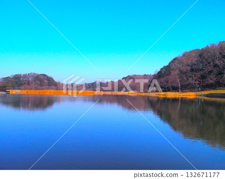 21世紀森林廣場公園景觀，池塘和森林點綴其間，展現了早春的景象。 132671177