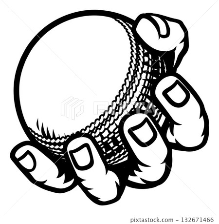 Mascot Person Hand Fist Holding Cricket Ball 132671466