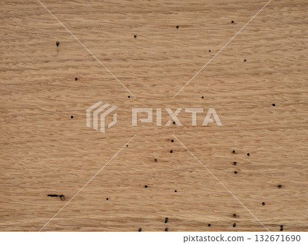 Unique European worm-eaten oak veneer with a distinctive spotted appearance 132671690