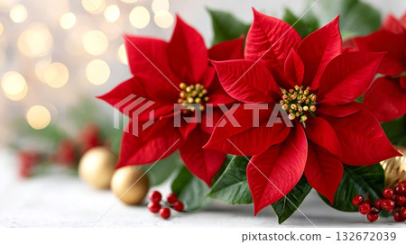 Poinsettia plants decorating for christmas holiday celebration 132672039
