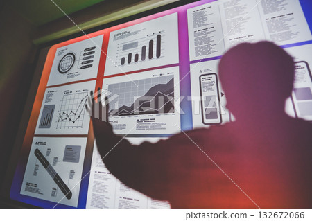 projection 132672066