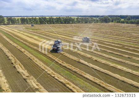 Aerial view of an agricultural combines harvester harvesting grain in Siberia in summer Aerial view of an agricultural combines harvester harvesting grain in Siberia in summer 132673315