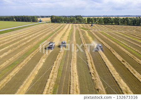 Aerial view of an agricultural combines harvester harvesting grain in Siberia in summer 132673316