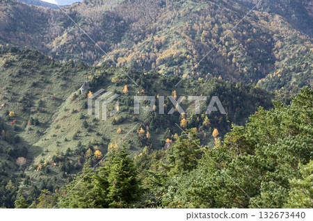 志賀高原澀峠的秋景 132673440