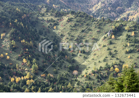 Autumn scenery at Shibu Pass in Shiga Kogen 132673441
