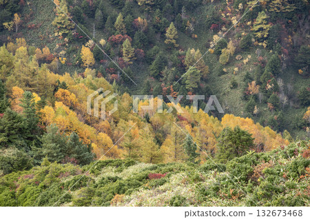 Autumn scenery at Shibu Pass in Shiga Kogen 132673468