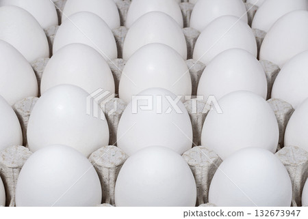 White chicken eggs in a tray White chicken eggs in a tray 132673947