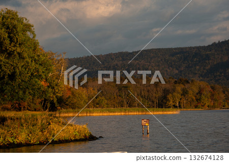Lakeside trees dyed in the morning sun 132674128