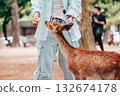 Woman playing with a deer 132674178