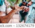 A man giving deer crackers 132674179