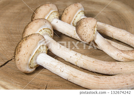 Autumn honey agaric mushrooms on the wooden kitchen desk 132674242