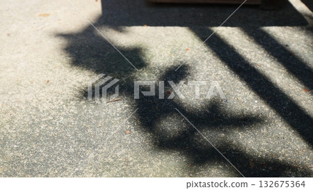 Leaf and Railing Shadows on Textured Concrete Ground 132675364