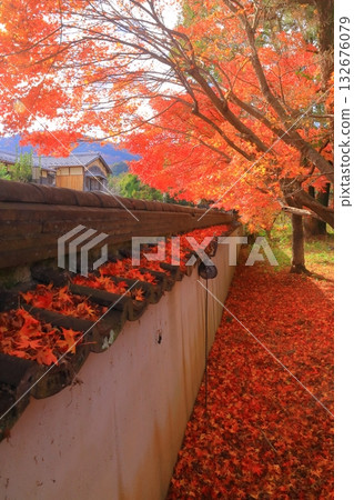 Spectacular autumn foliage in the gardens of Seiryoji Temple (Saga Shakado Hall) (Ukyo Ward, Kyoto City) Spectacular autumn foliage in the gardens of Seiryoji Temple (Saga Shakado Hall) (Ukyo Ward, Kyoto City) 132676079