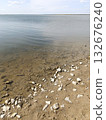 Sandy riverbank with rocks. River beach. 132676240