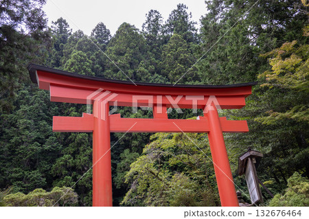 First torii gate of Nyukawakami Shrine Shimosha (photographed in August 2025) 132676464