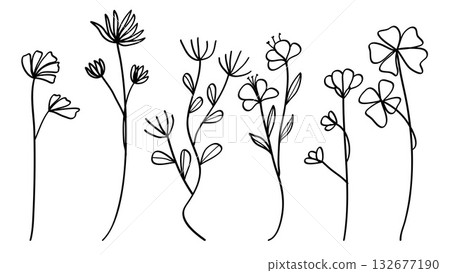 Flowers line hand drawing nature art vintage collection 132677190