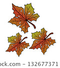 Maple Leaves Fall Drawing Colorful Autumn Season Elements. Vector Illustration Maple Leaves Fall Drawing Colorful Autumn Season Elements. Vector Illustration 132677371
