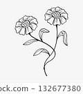 Flowers blossom botanical hand drawn line art.Vector illustration Flowers blossom botanical hand drawn line art.Vector illustration 132677380