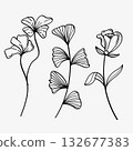 Hand drawn flowers minimal elements in line art style. Greenery for decoration, wild and garden plants, branches, leaves vector collection Hand drawn flowers minimal elements in line art style. Greenery for decoration, wild and garden plants, branches, leaves vector collection 132677383