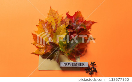 Vibrant Autumn Leaves With November Block And Cloves Displayed 132677560