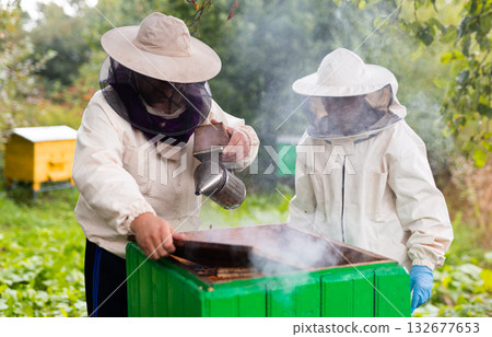 Two beekeepers open a hive in the wild 132677653