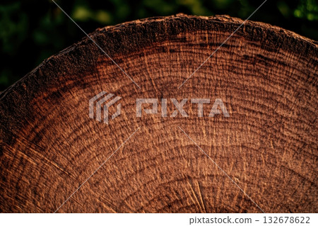 Close view of a tree stump highlighting its growth rings 132678622