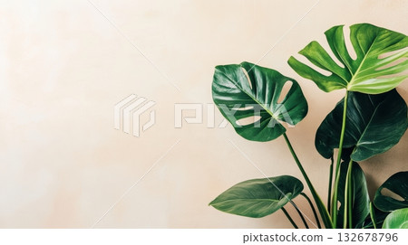 Tropical leaves add lush beauty to a simple interior space 132678796
