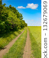 Country road through young pea field and blue sky with white clouds. 132679069